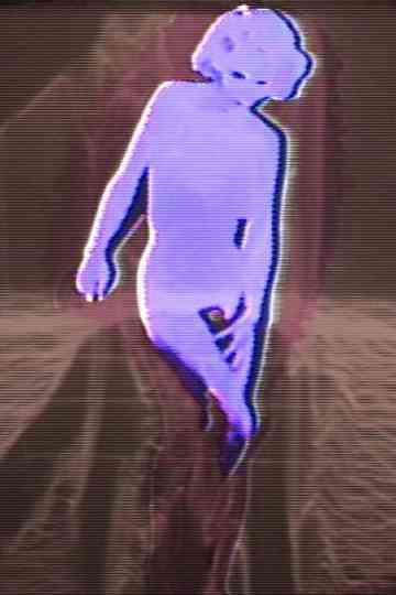 Body Contours Poster