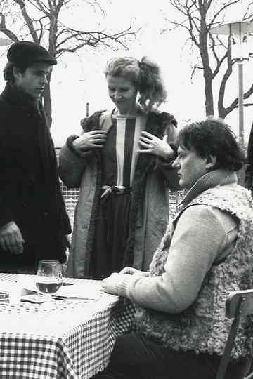 Sheep in Wales Poster