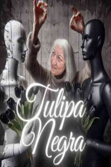 Tulipa Negra Poster