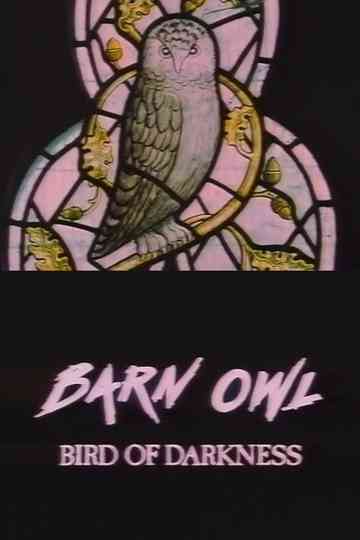 Barn Owl: Bird of Darkness Poster