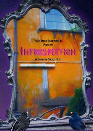 Introspection Poster