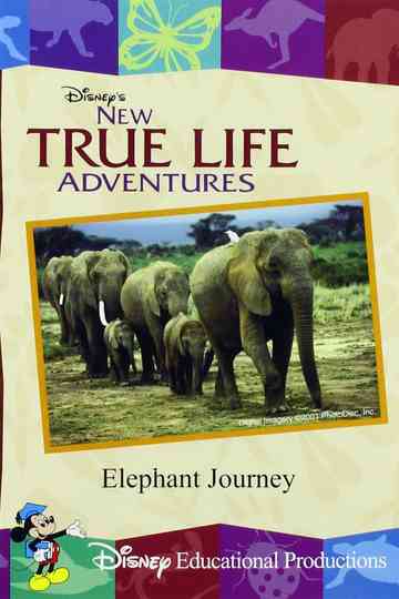 Elephant Journey poster