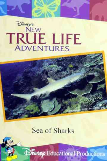 Sea of Sharks Poster