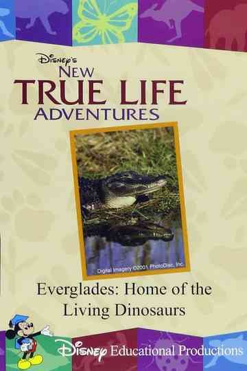 Everglades: Home of the Living Dinosaurs Poster