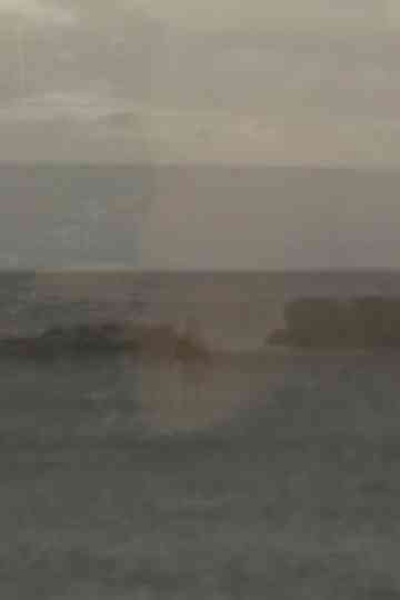 Contemplate the Plate Tectonic Poster