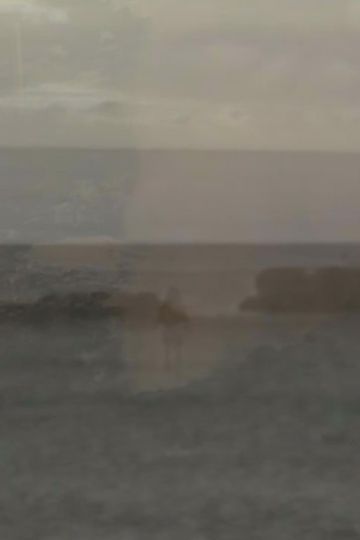 Contemplate the Plate Tectonic