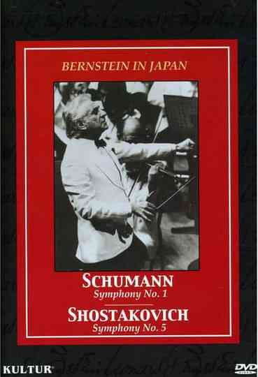 Bernstein in Japan Poster