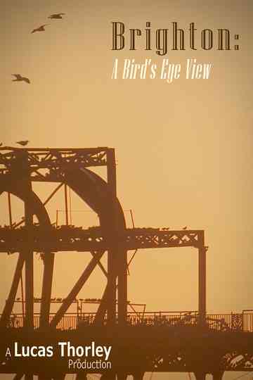 Brighton: A Bird's Eye View poster