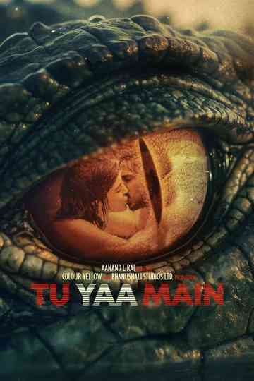 Tu Yaa Main Poster