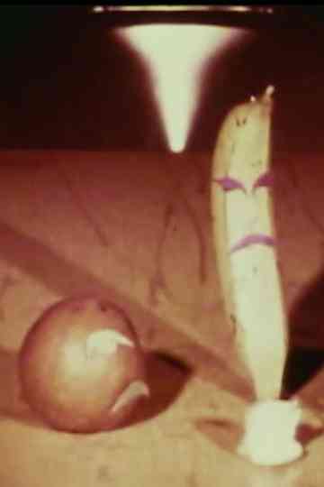 February 31st Poster