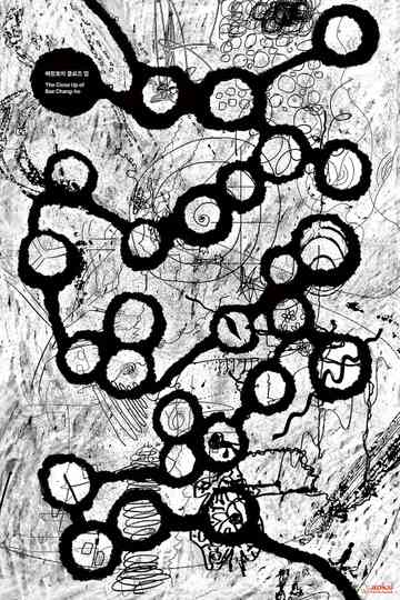 The Close Up of Bae Chang-ho Poster