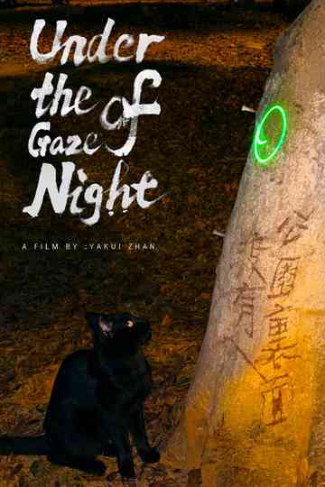Under the Gaze of Night Poster
