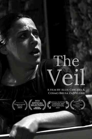 The Veil Poster