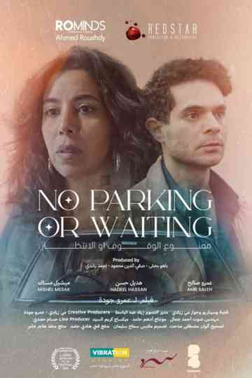 No Parking or Waiting Poster