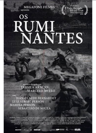 Os Ruminantes