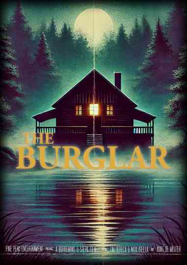 The Burglar Poster