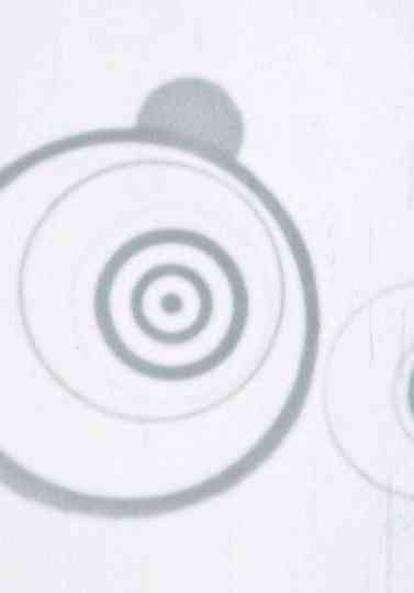 Metamorphosis Poster