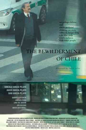 The Bewilderment of Chile Poster