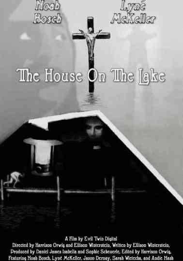 The House On The Lake Poster