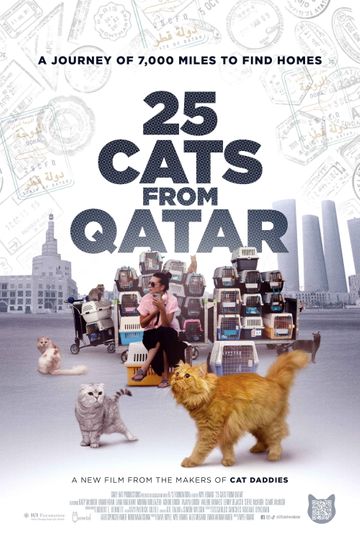 25 Cats from Qatar