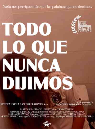 The Words We Never Said poster