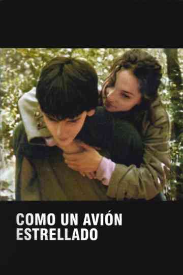 Como un avión estrellado Poster