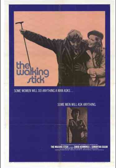 The Walking Stick Poster