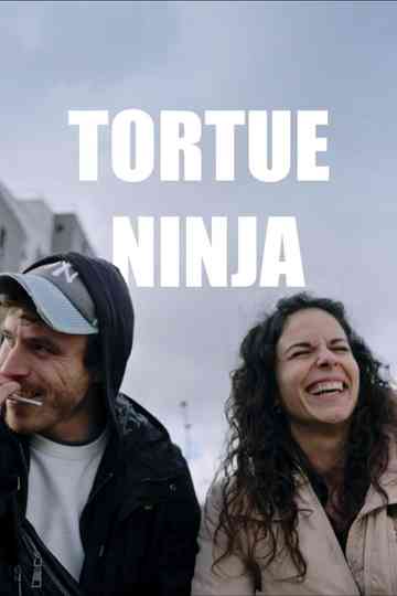 Tortue Ninja Poster