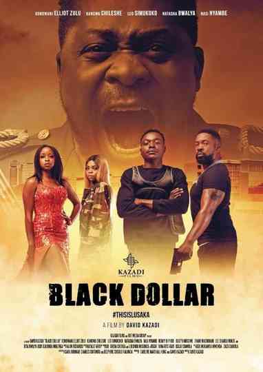 Black Dollar Poster