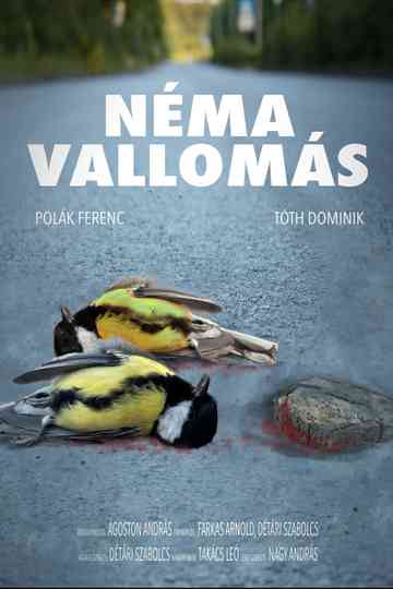 Néma Vallomás Poster
