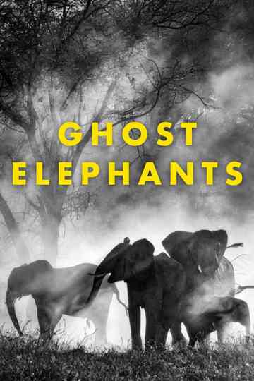 Ghost Elephants Poster