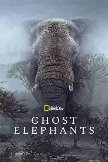 Ghost Elephants Poster