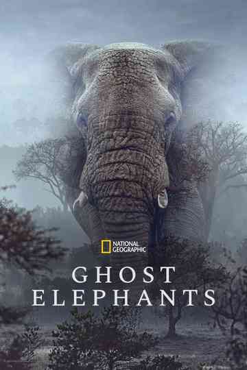 Ghost Elephants Poster