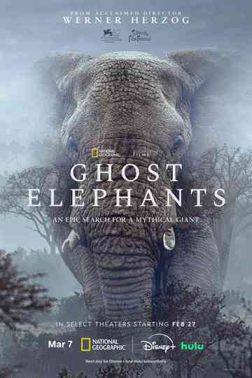 Ghost Elephants Poster