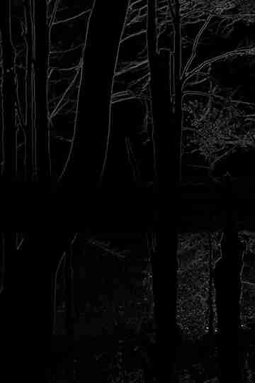 The Heart of the Wood Poster