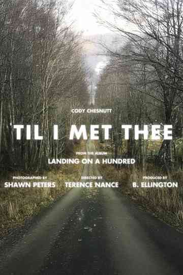 Cody ChesnuTT - Till I Met Thee Poster