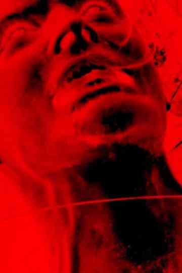 A BRIEF HISTORY OF PLANET EARTH Poster