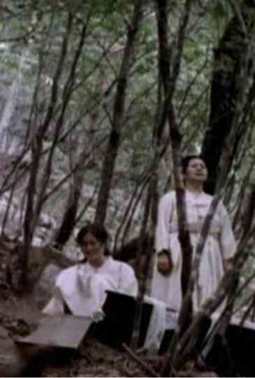 To The Spring Mountain Poster