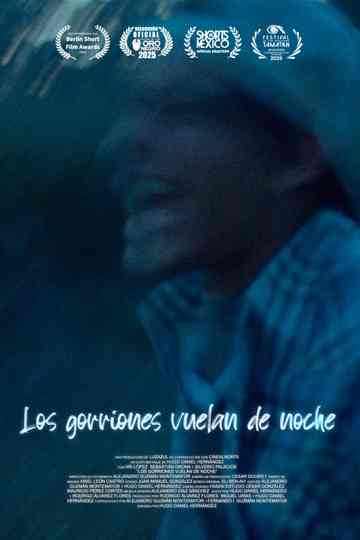 Los gorriones vuelan de noche Poster