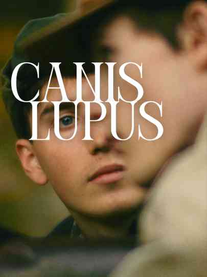 Canis Lupus Poster