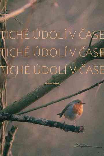 Tiché údolí v čase Poster