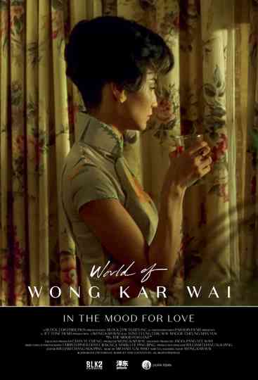 In the Mood for Love Collection Poster