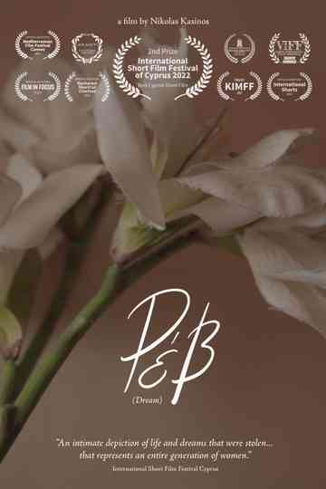 Dream Poster