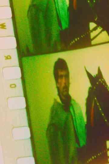 Territoires parallèles Poster