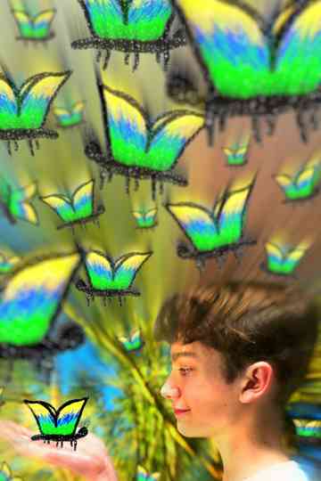 My Fascination With The Butterfly Effect Poster