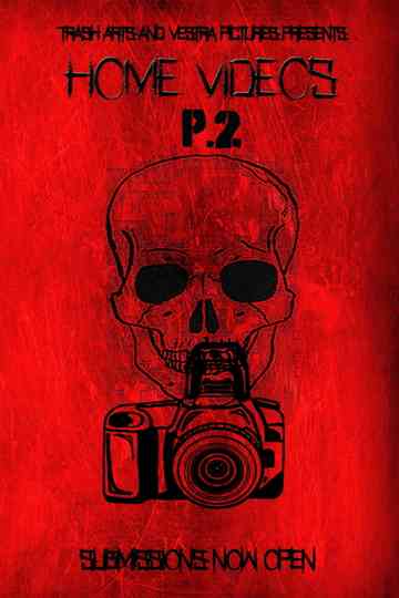 Home Videos 2 Poster