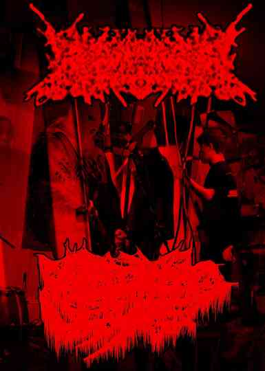 Rhabdomyolysis/Amebiasis Live at The Veil Poster