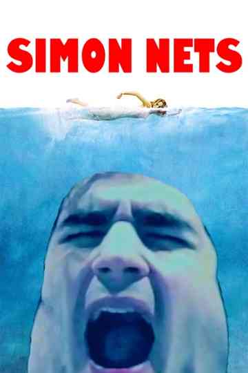 SIMON NETS Poster