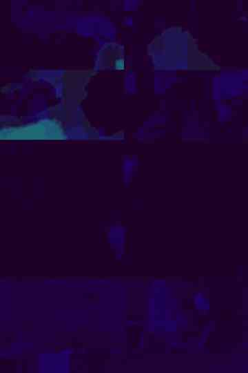 Film Study 01 Poster