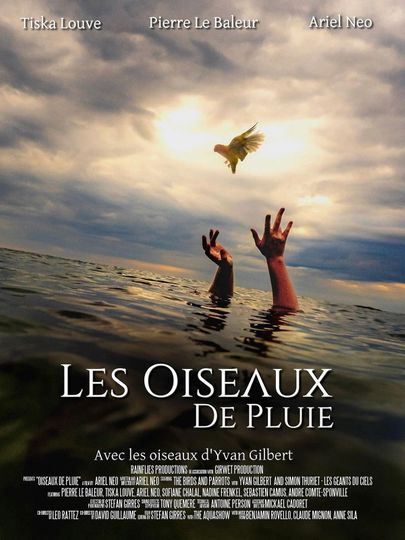 Les Oiseaux de pluie